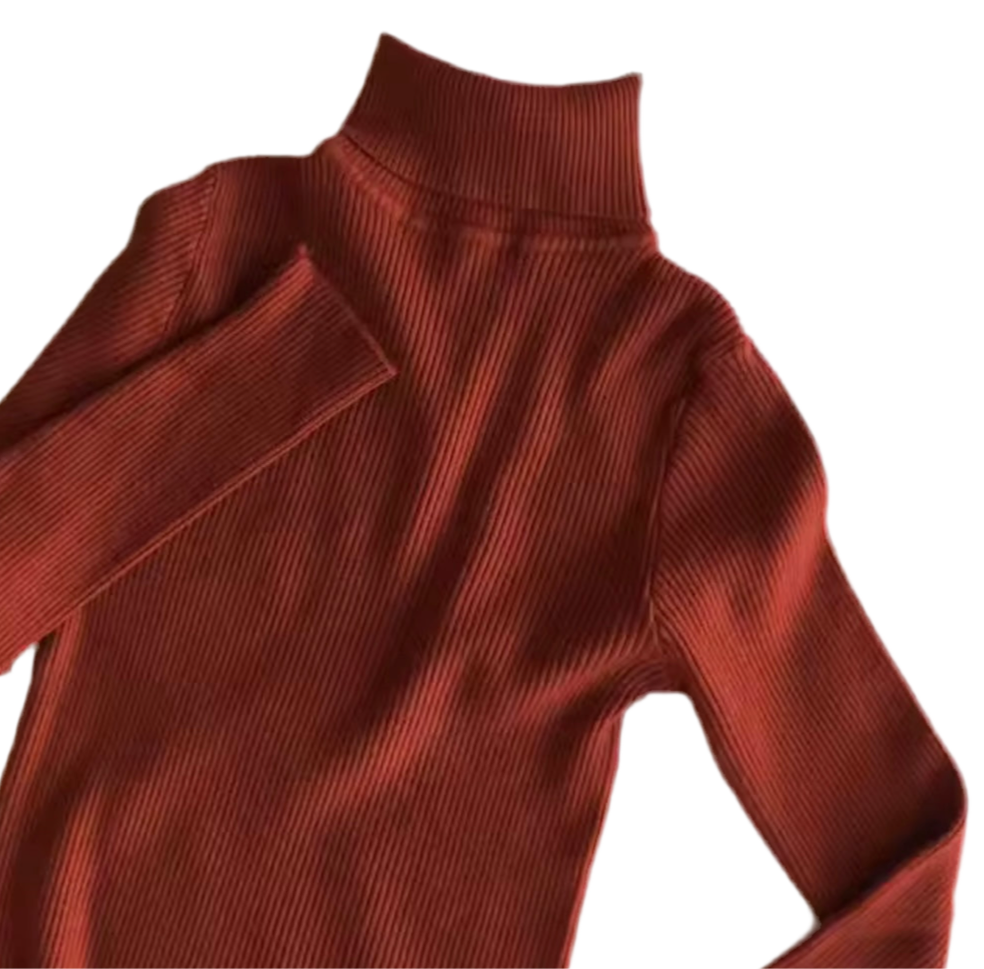 Blusa Feminina de Gola Alta Outono/Inverno